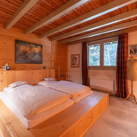 Chalet Des Drus Chamonix